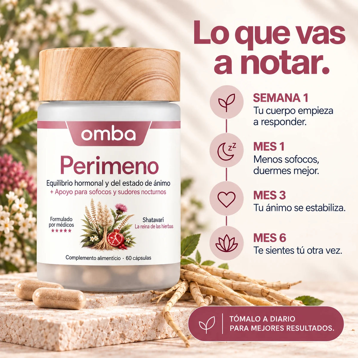 OMBA Perimeno · lo que vas a notar: semana 1, mes 1, mes 3 y mes 6